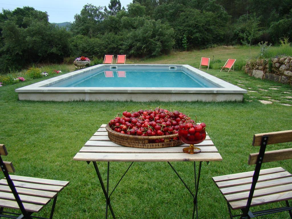 Quinta De Seves Guest House Covilhã Eksteriør bilde