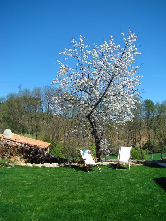 Quinta De Seves Guest House Covilhã Eksteriør bilde