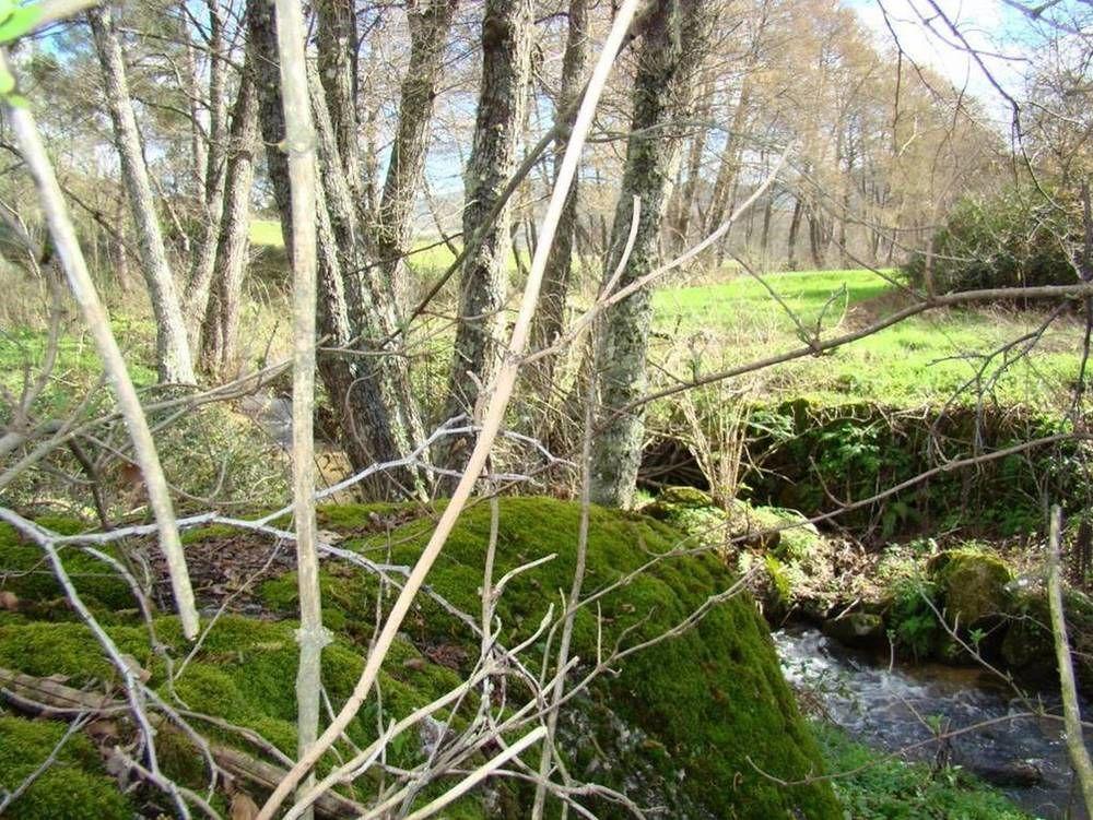 Quinta De Seves Guest House Covilhã Eksteriør bilde