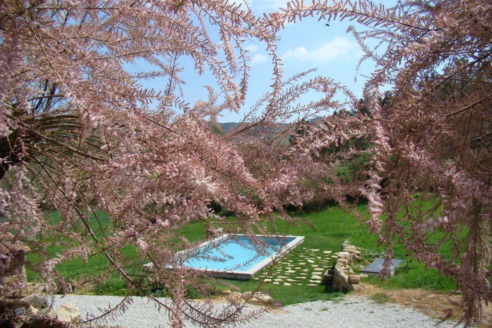 Quinta De Seves Guest House Covilhã Eksteriør bilde